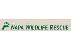 napa wildlife rescue logo