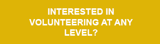 Interesting in Volunteering at any level?
