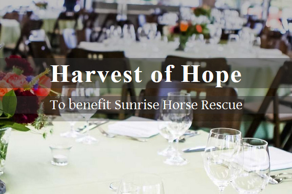 harvest of hope fundraiser event.