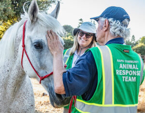 Kerry Burrows at hands-on equine training, July 2024.