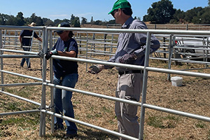 emergency shelter panels.