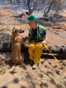 Napa CART volunteer with rescued dog after wildfire.