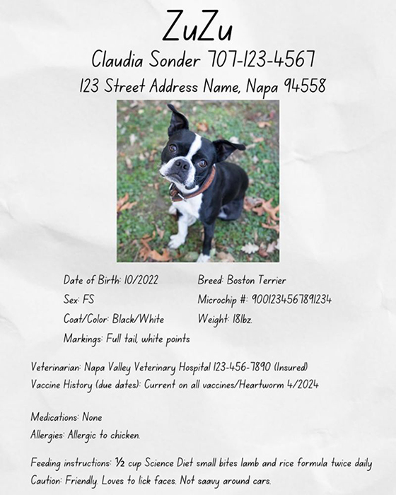 Pet ID and care sheet for ZuZu.